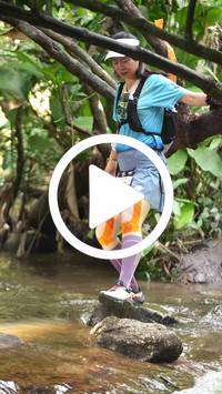 BIB:  <button type="button" onclick="openModal(27825466)" class="btn btn-primary btn-sm float-right" data-toggle="modal" data-target=".modal-high-quality">
                <i class="fa fa-download"></i> Download
                </button>